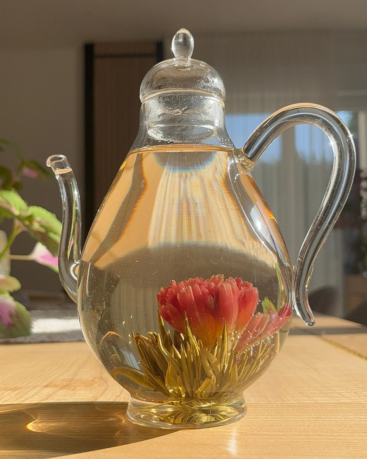 Coffret Fleurs de thé mixtes