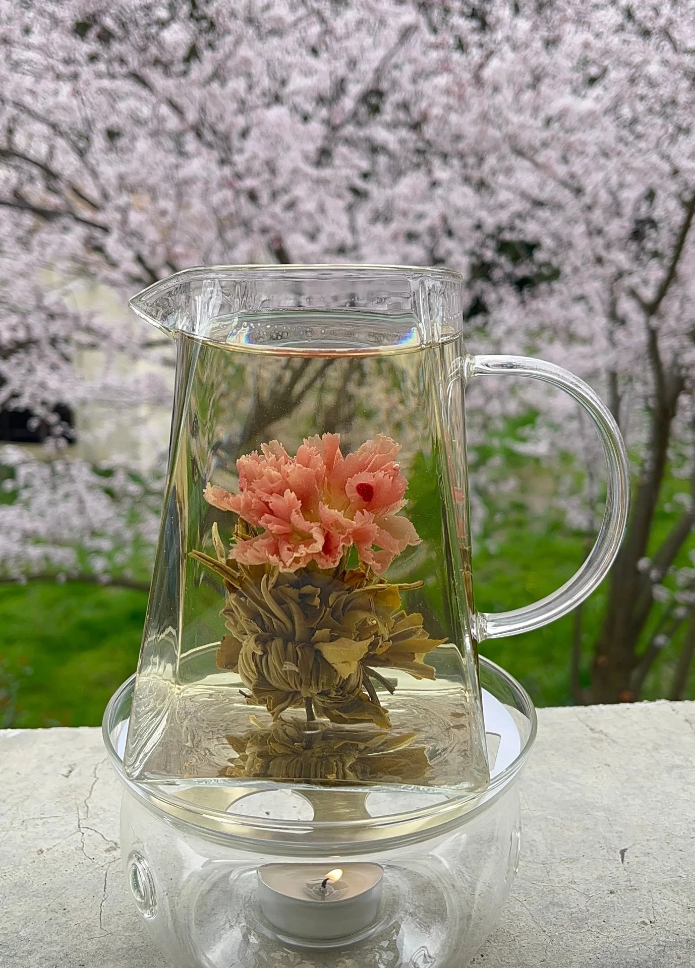 Infusion florale FLORAMORA